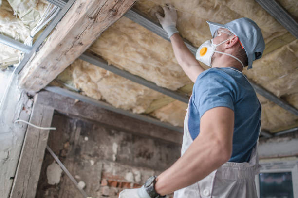 Best Professional Insulation Contractor  in Seville, OH
